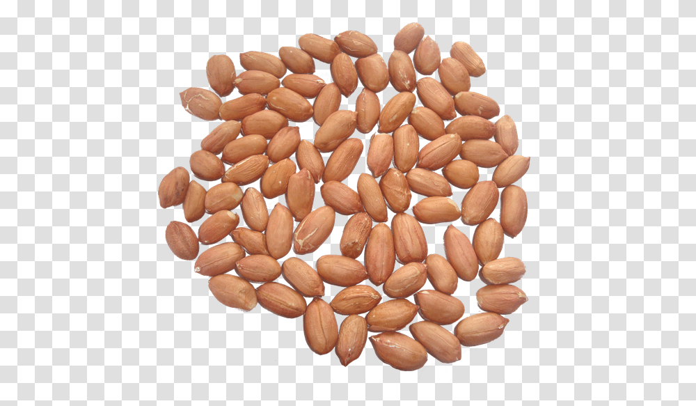 Peanut Kernels, Plant, Vegetable, Food, Produce Transparent Png