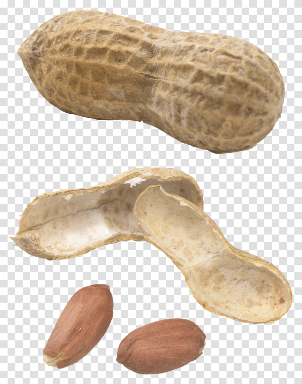 Peanut Monkey Nut, Plant, Vegetable, Food, Bread Transparent Png
