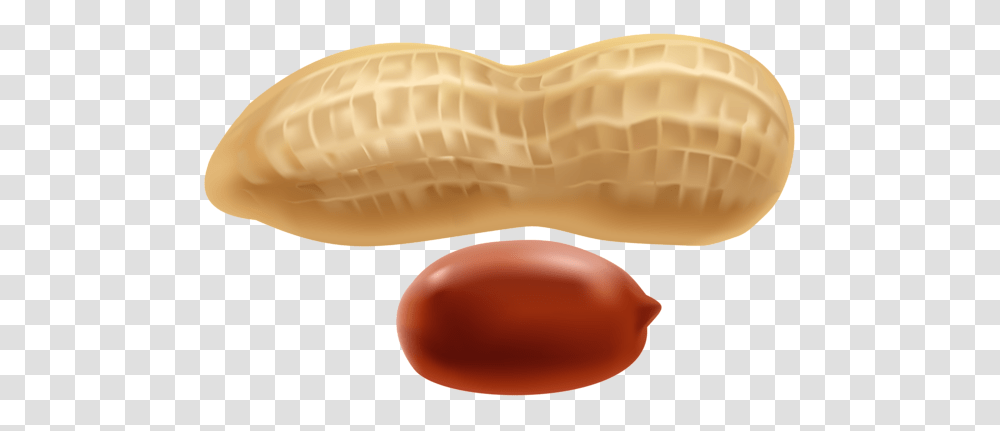 Peanut, Plant, Animal, Food, Vegetable Transparent Png