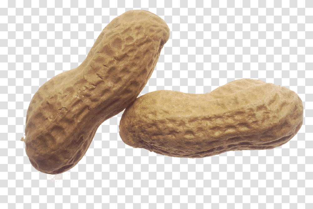 Peanut, Plant, Bread, Food, Vegetable Transparent Png