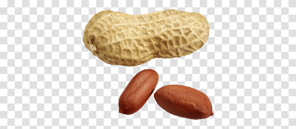 Peanut, Plant, Bread, Food, Vegetable Transparent Png