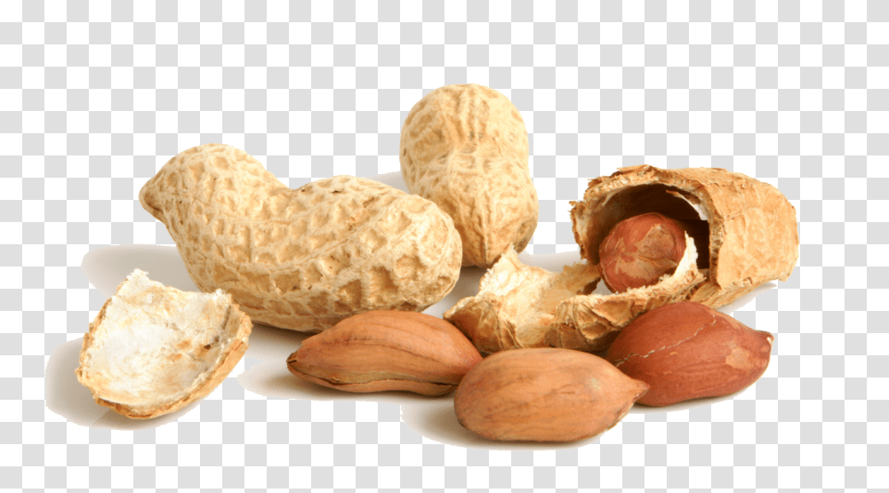 Peanut, Plant, Bread, Food, Vegetable Transparent Png