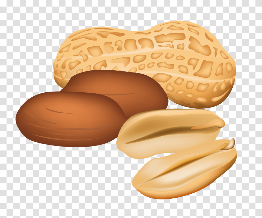 Peanut, Plant, Food, Vegetable, Bread Transparent Png