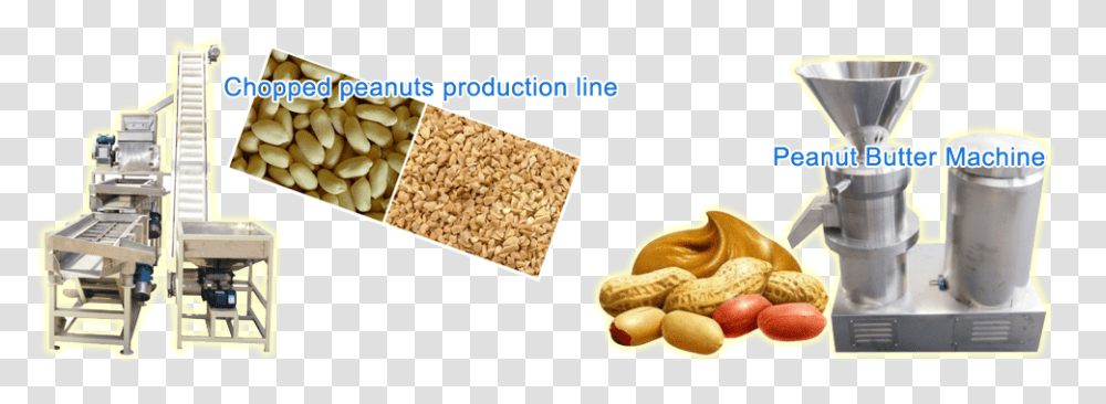 Peanut, Plant, Food, Vegetable, Grain Transparent Png