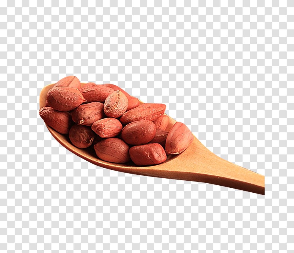 Peanut, Plant, Food, Vegetable, Rug Transparent Png