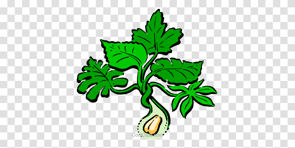 Peanut Plant Royalty Free Vector Clip Art Illustration, Leaf, Food, Vegetable, Produce Transparent Png