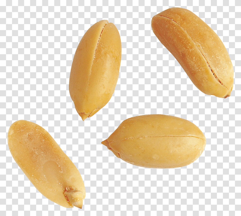 Peanut, Plant, Vegetable, Food, Almond Transparent Png