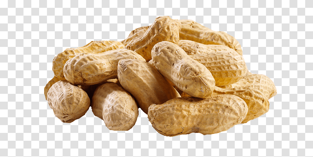 Peanut, Plant, Vegetable, Food, Bread Transparent Png