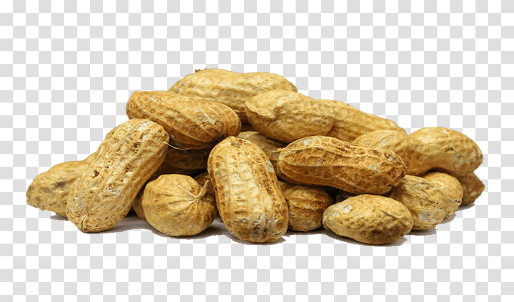 Peanut, Plant, Vegetable, Food, Bread Transparent Png