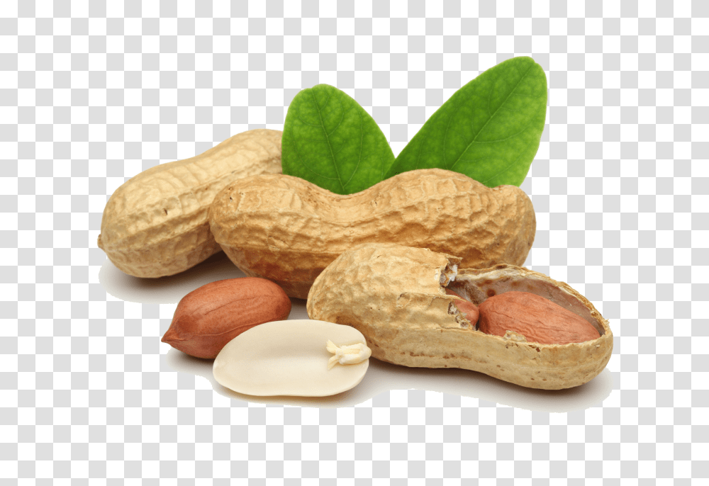 Peanut, Plant, Vegetable, Food, Bread Transparent Png