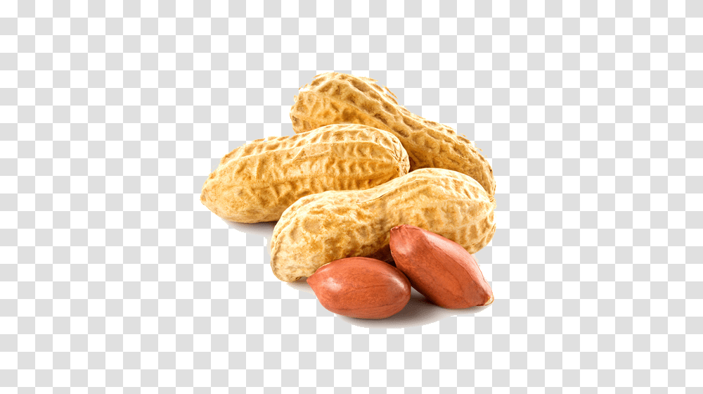 Peanut, Plant, Vegetable, Food, Bread Transparent Png