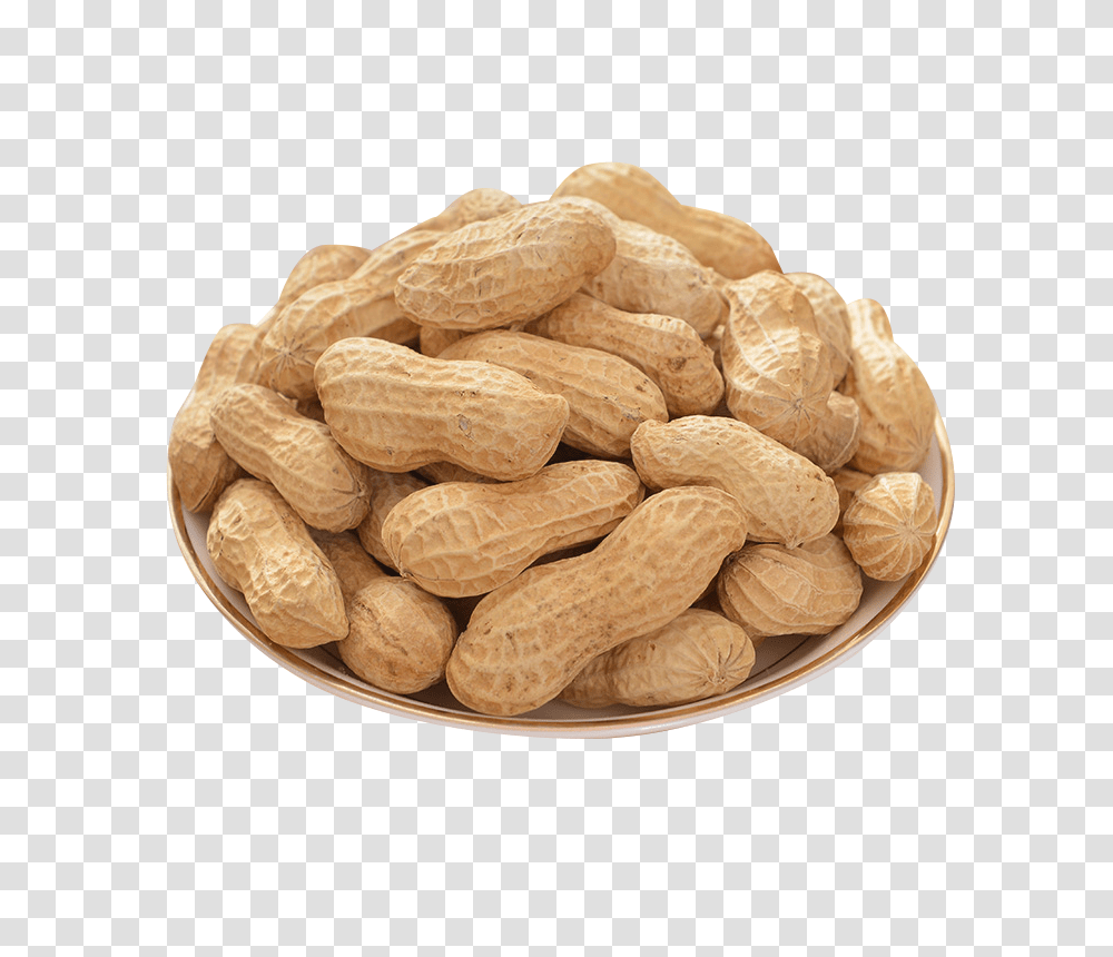 Peanut, Plant, Vegetable, Food, Bread Transparent Png