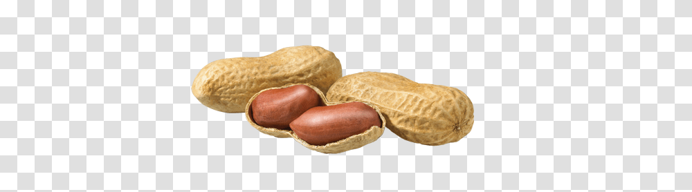 Peanut, Plant, Vegetable, Food, Bread Transparent Png