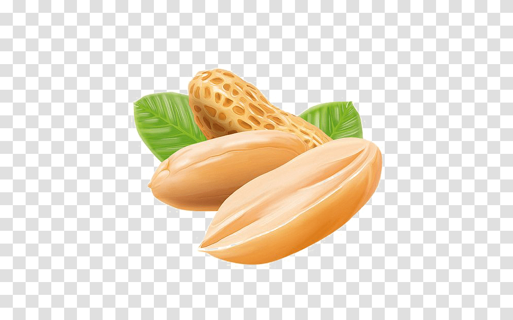 Peanut, Plant, Vegetable, Food, Fruit Transparent Png