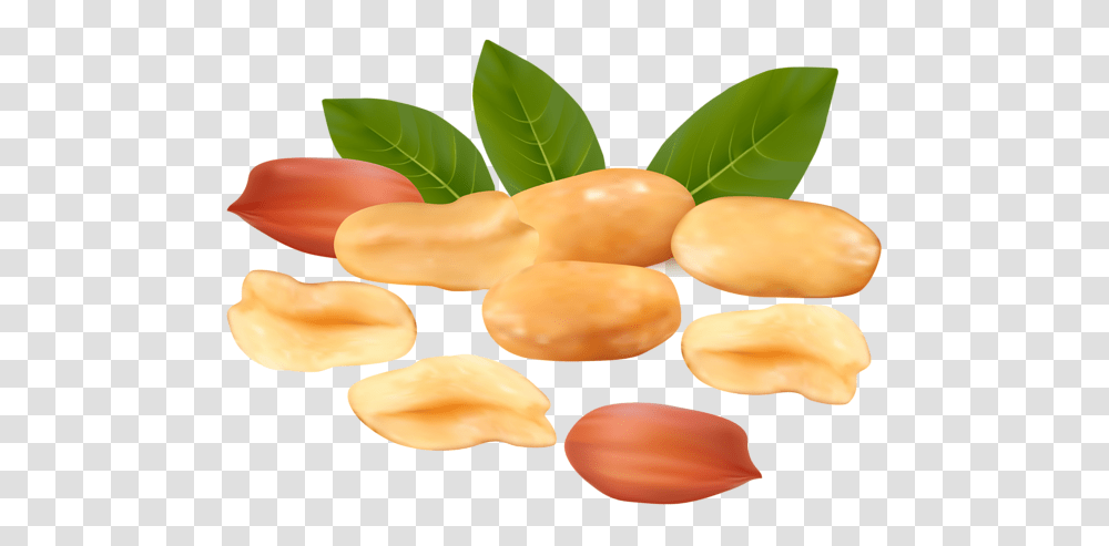 Peanut, Plant, Vegetable, Food, Fungus Transparent Png