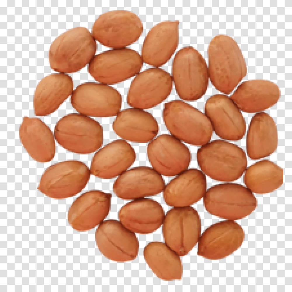 Peanut, Plant, Vegetable, Food, Fungus Transparent Png