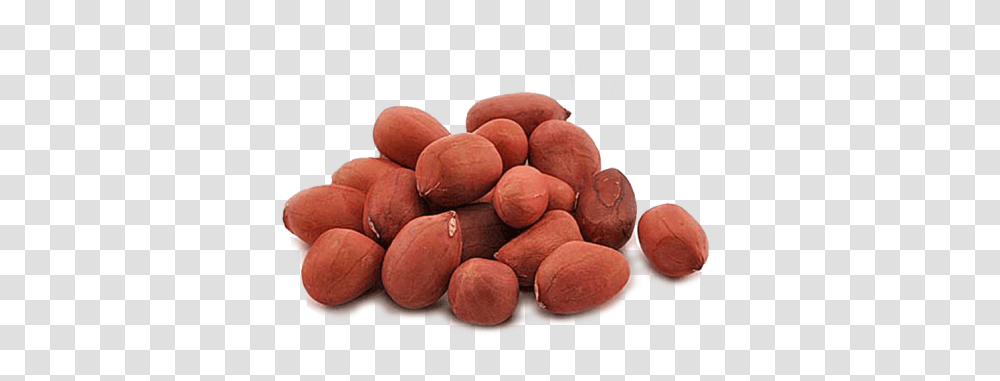 Peanut, Plant, Vegetable, Food, Produce Transparent Png