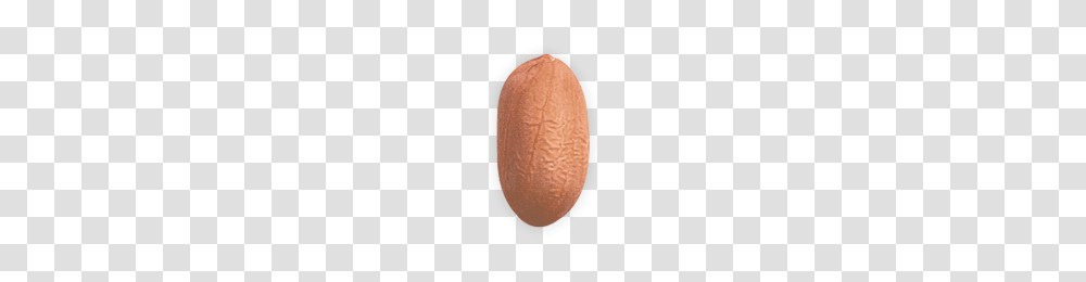 Peanut, Plant, Vegetable, Food, Rug Transparent Png