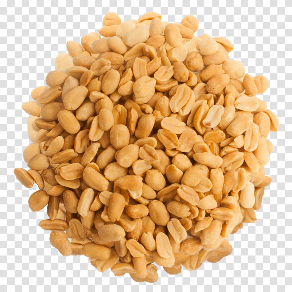 Peanut, Plant, Vegetable, Food, Rug Transparent Png