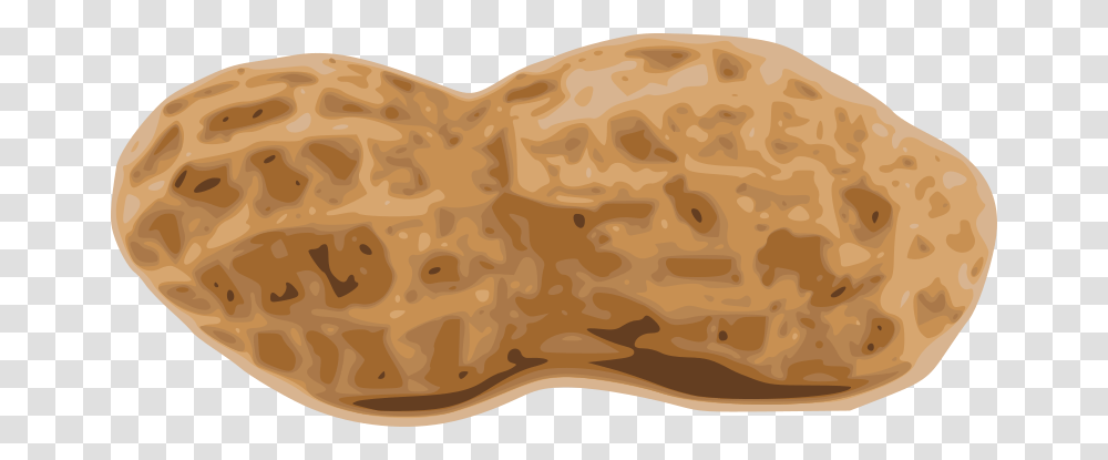 Peanut, Plant, Vegetable, Food, Rug Transparent Png