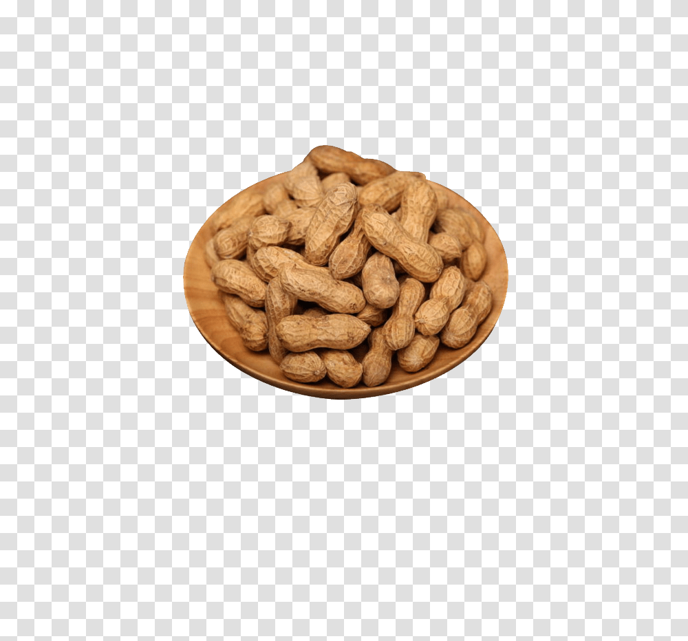 Peanut, Plant, Vegetable, Food Transparent Png