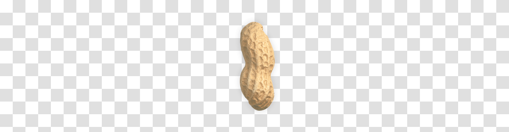 Peanut, Plant, Vegetable, Food Transparent Png