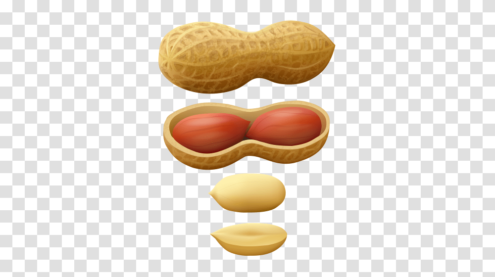 Peanut, Plant, Vegetable, Food Transparent Png