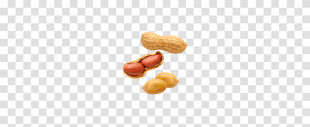 Peanut, Plant, Vegetable, Food Transparent Png