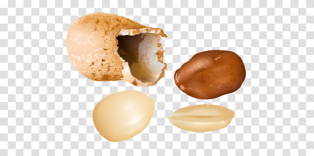 Peanut, Plant, Vegetable, Food Transparent Png