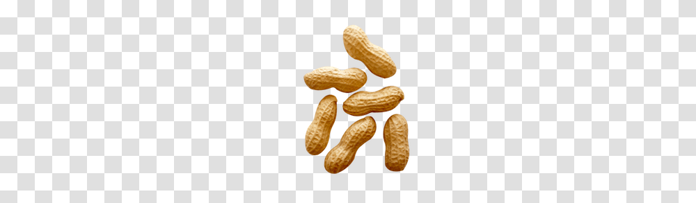 Peanut, Plant, Vegetable, Food Transparent Png