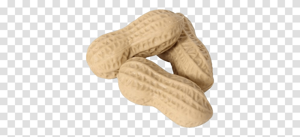 Peanut, Plant, Vegetable, Food Transparent Png