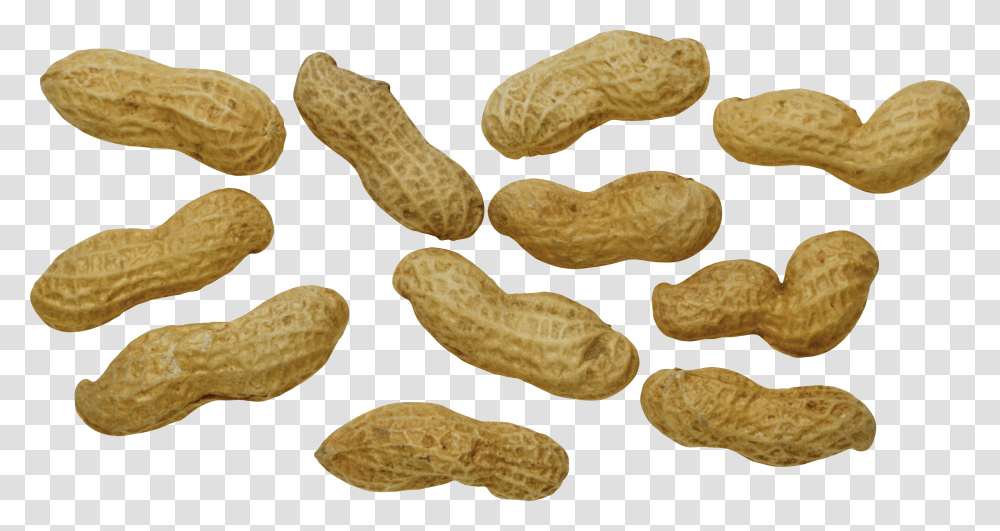 Peanut Transparent Png