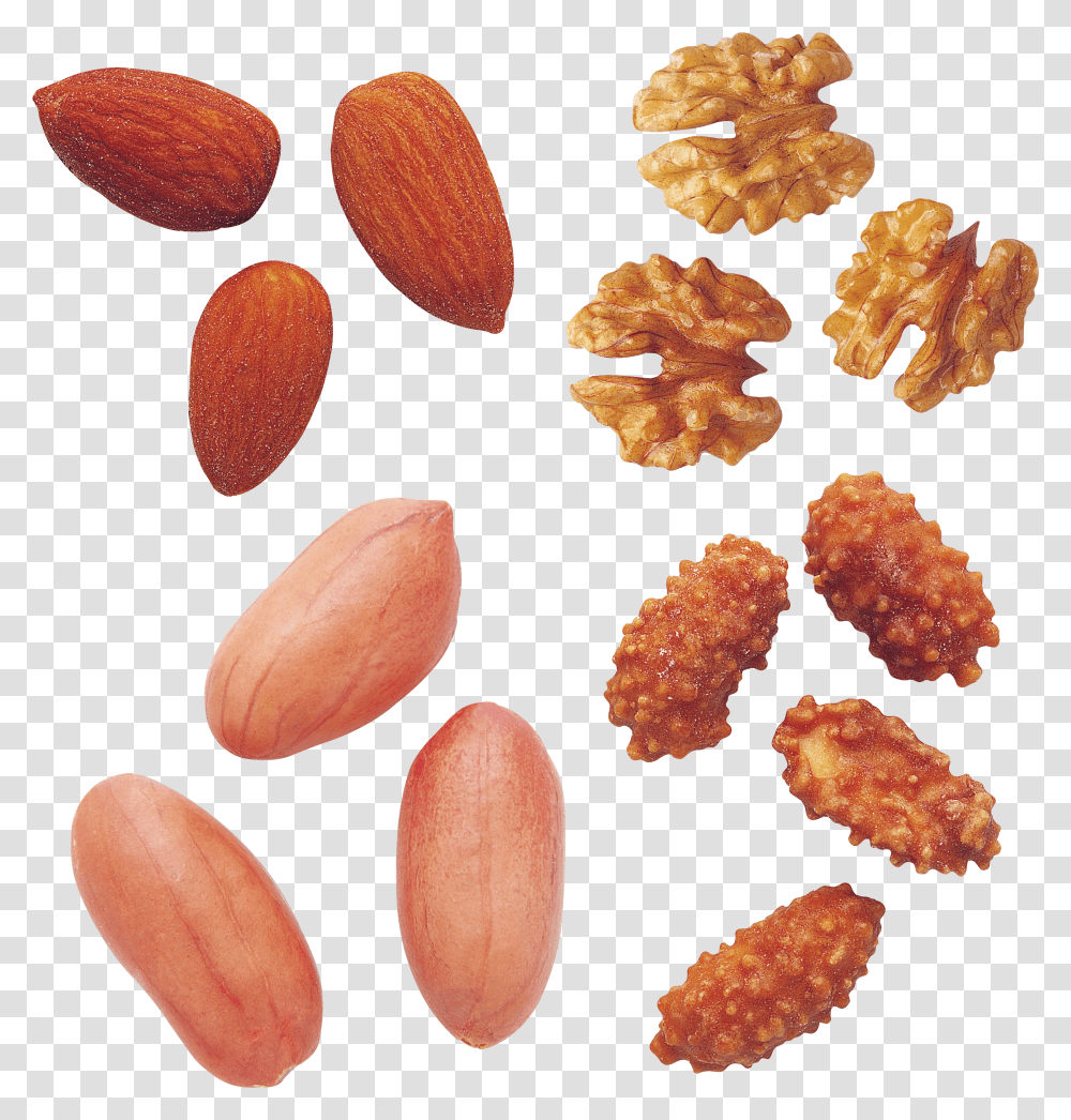 Peanut Transparent Png