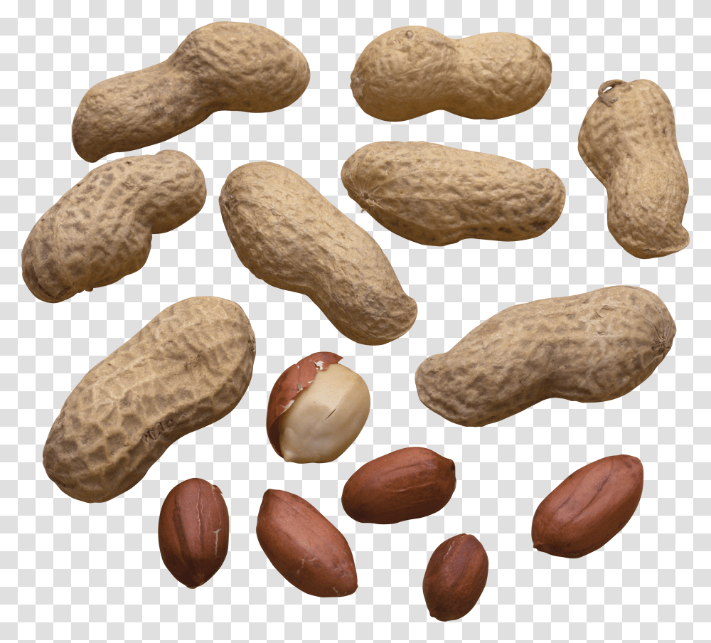 Peanut Transparent Png