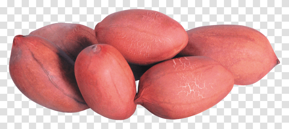 Peanut Transparent Png