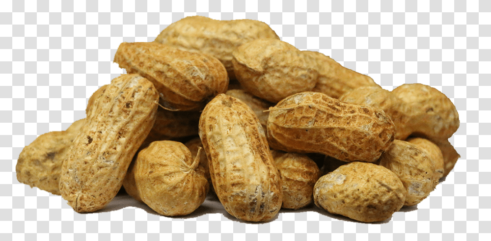 Peanut Vegetable Farm Pune Free Photo Nut Background, Plant, Food, Bread, Fungus Transparent Png