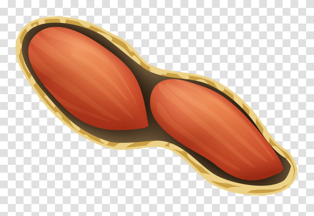 Peanut, Vegetable, Plant, Food, Arm Transparent Png