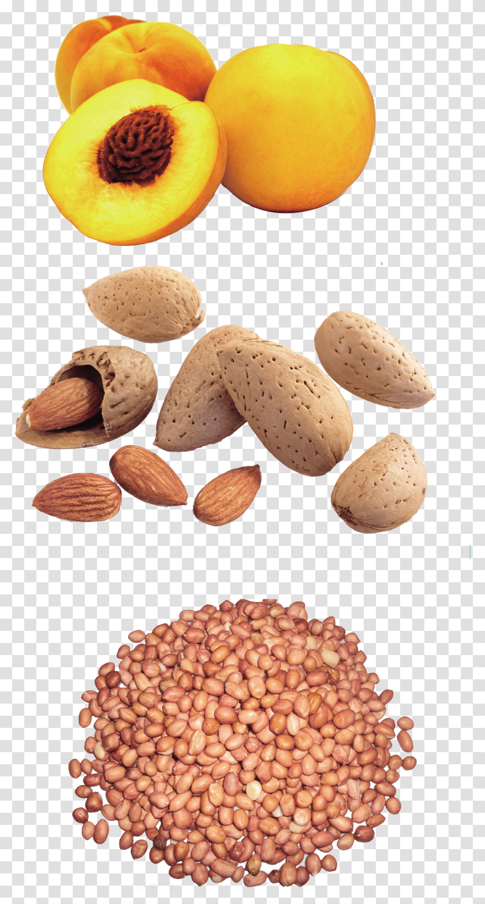 Peanut Yellow Peach Dried Fruit Snack Design Pattern Any Two Oil Seeds Transparent Png