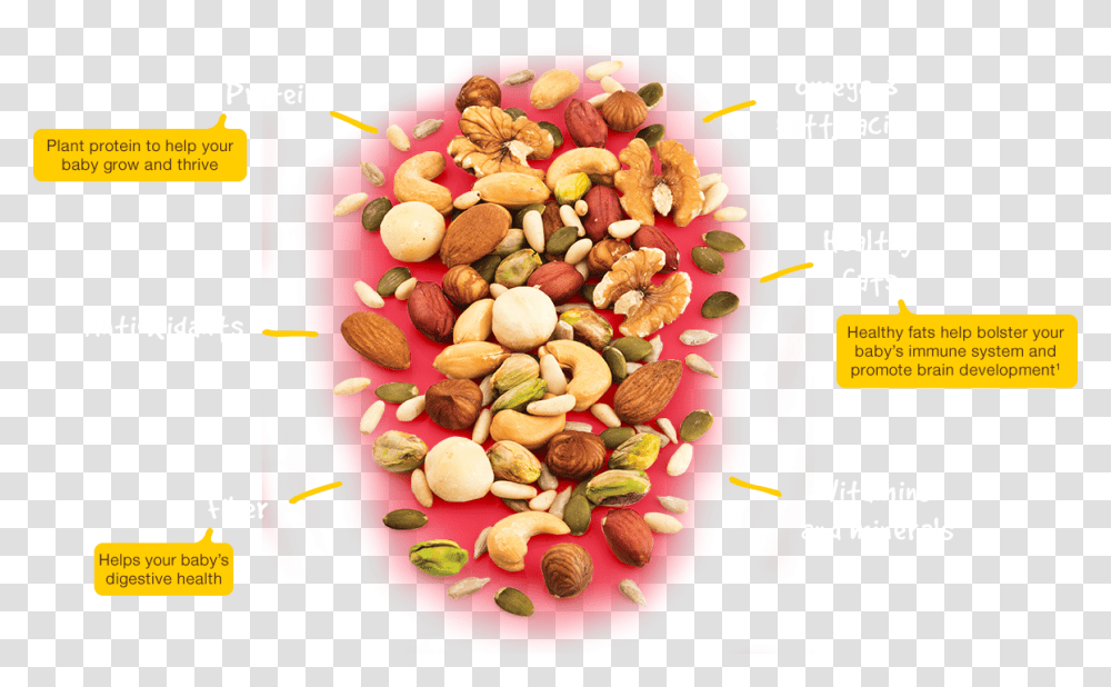 Peanuts And Assorted Nuts Including Almonds Cashews Natural Foods, Plant, Flyer, Poster, Paper Transparent Png