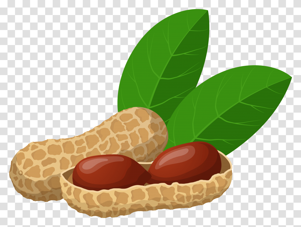 Peanuts Clip Art Background Groundnut Clipart, Plant, Vegetable, Food, Fungus Transparent Png
