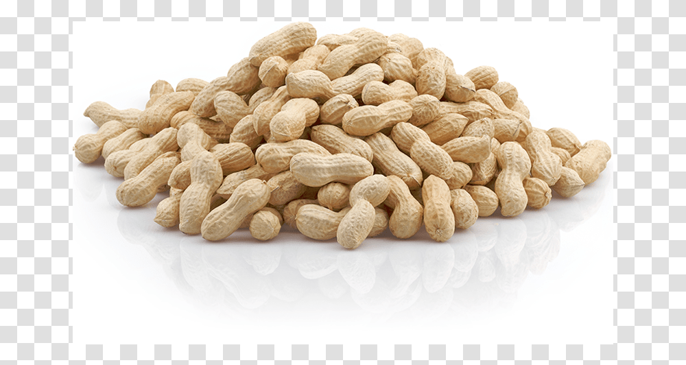 Peanuts In Shell Best Quality, Plant, Vegetable, Food, Rug Transparent Png