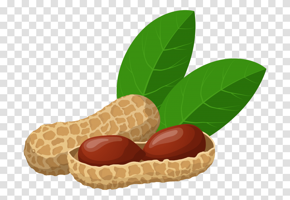 Peanuts, Plant, Vegetable, Food, Almond Transparent Png