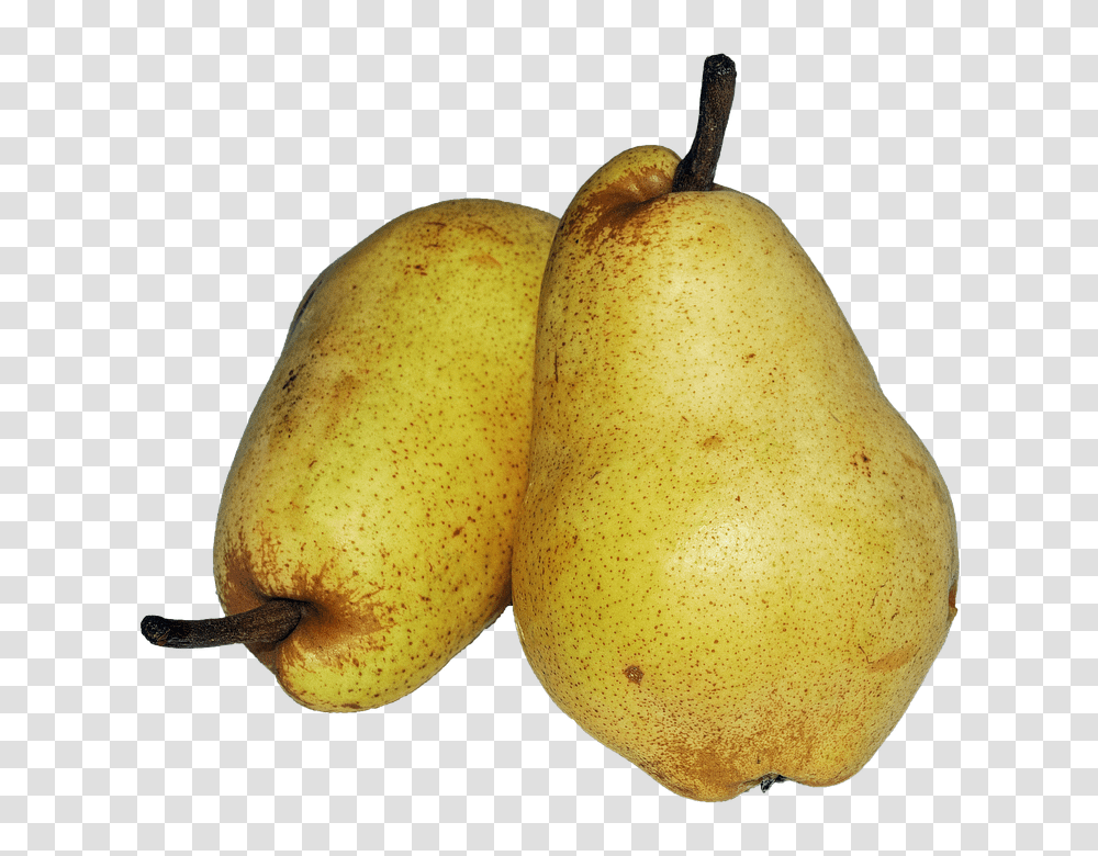 Pear 960, Fruit, Plant, Food Transparent Png