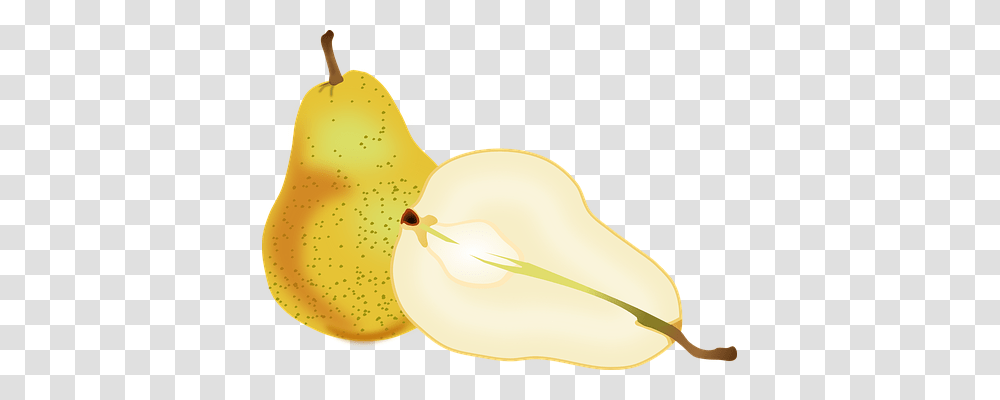 Pear Plant, Fruit, Food, Spoon Transparent Png