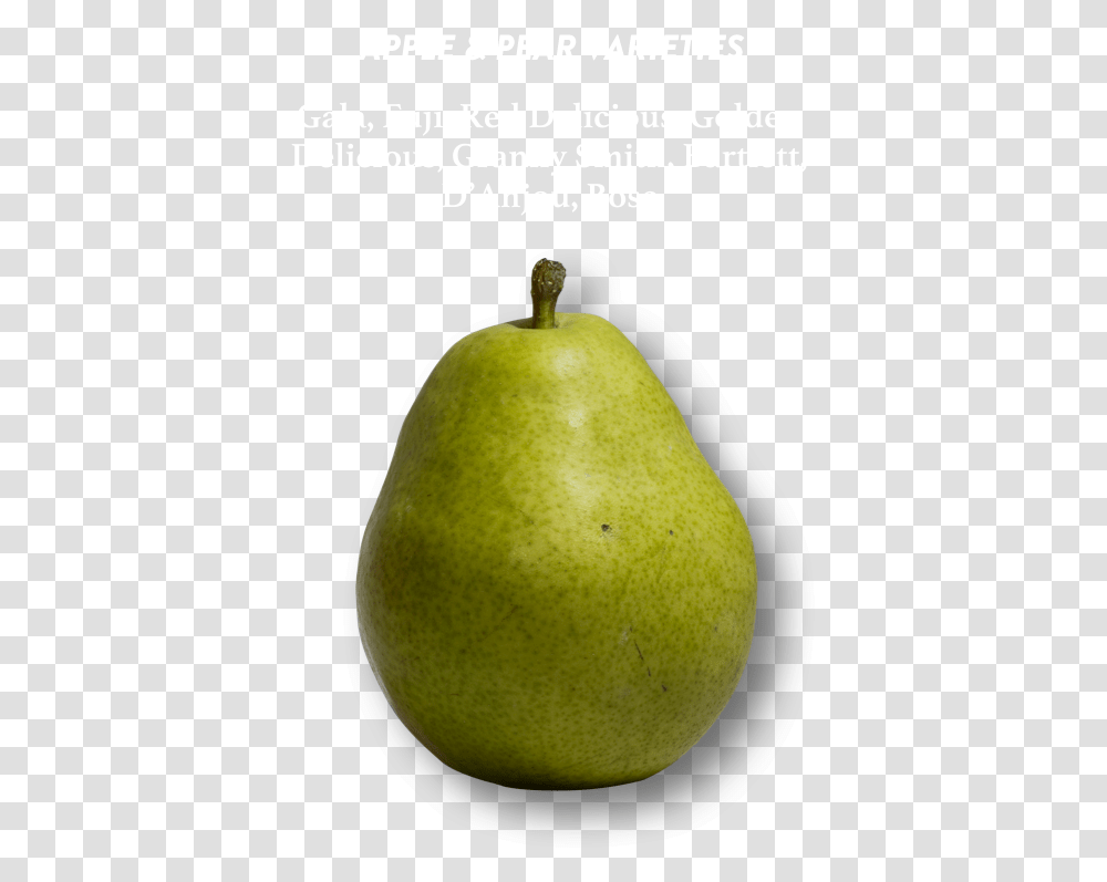 Pear Cider Pear, Plant, Fruit, Food, Tennis Ball Transparent Png