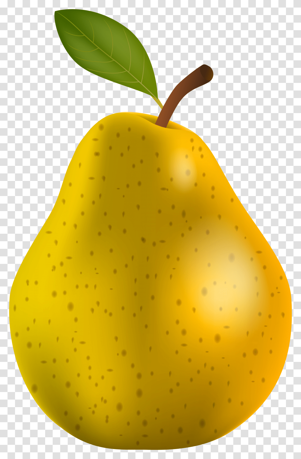Pear Clipart Different Kind Fruit Pears Images Clip Art Transparent Png