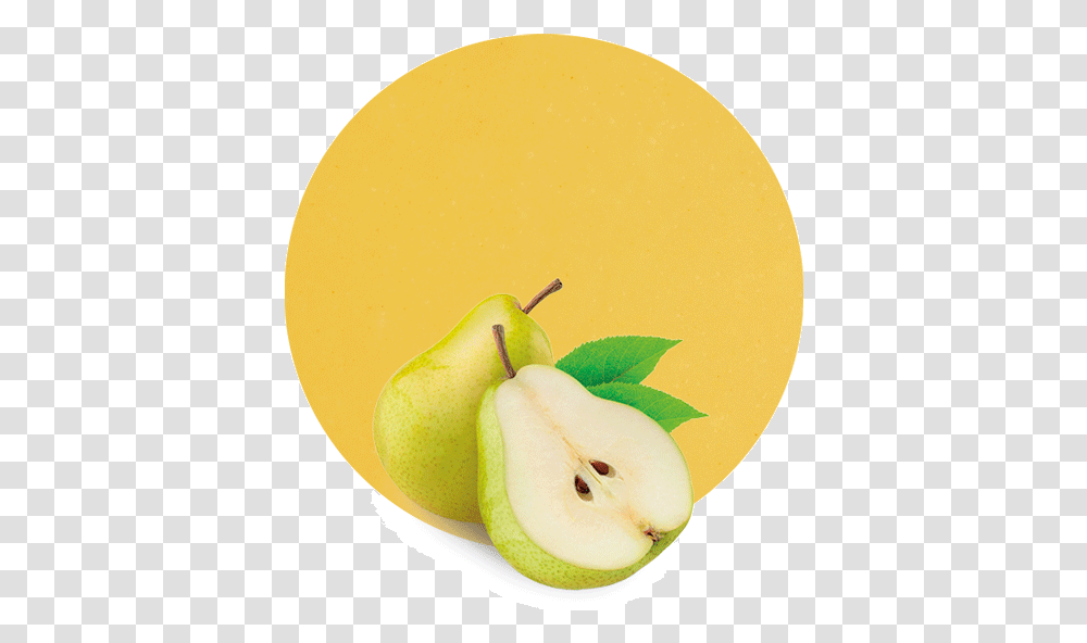 Pear Concentrate Asian Pear, Plant, Fruit, Food Transparent Png