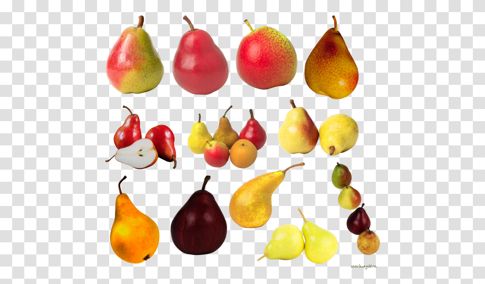 Pear Free Download, Plant, Fruit, Food Transparent Png