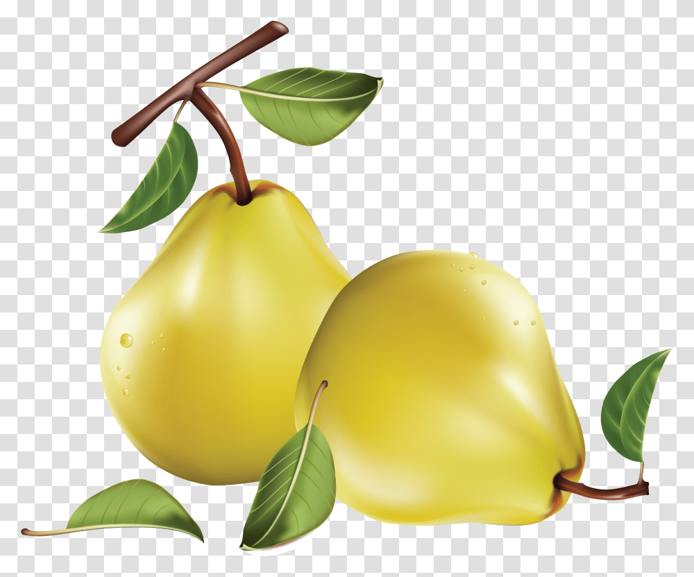 Pear, Fruit, Plant, Food, Leaf Transparent Png