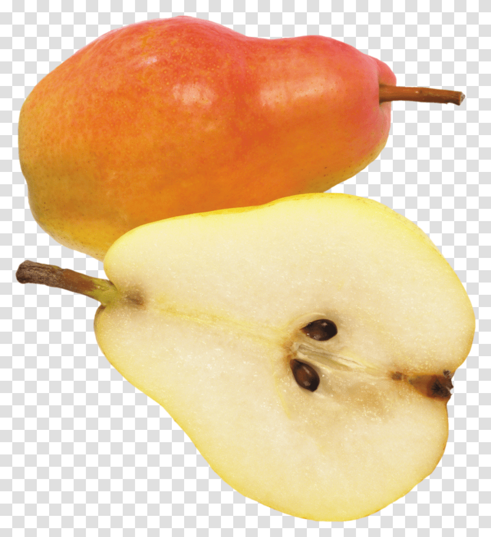 Pear, Fruit, Plant, Food, Pollen Transparent Png